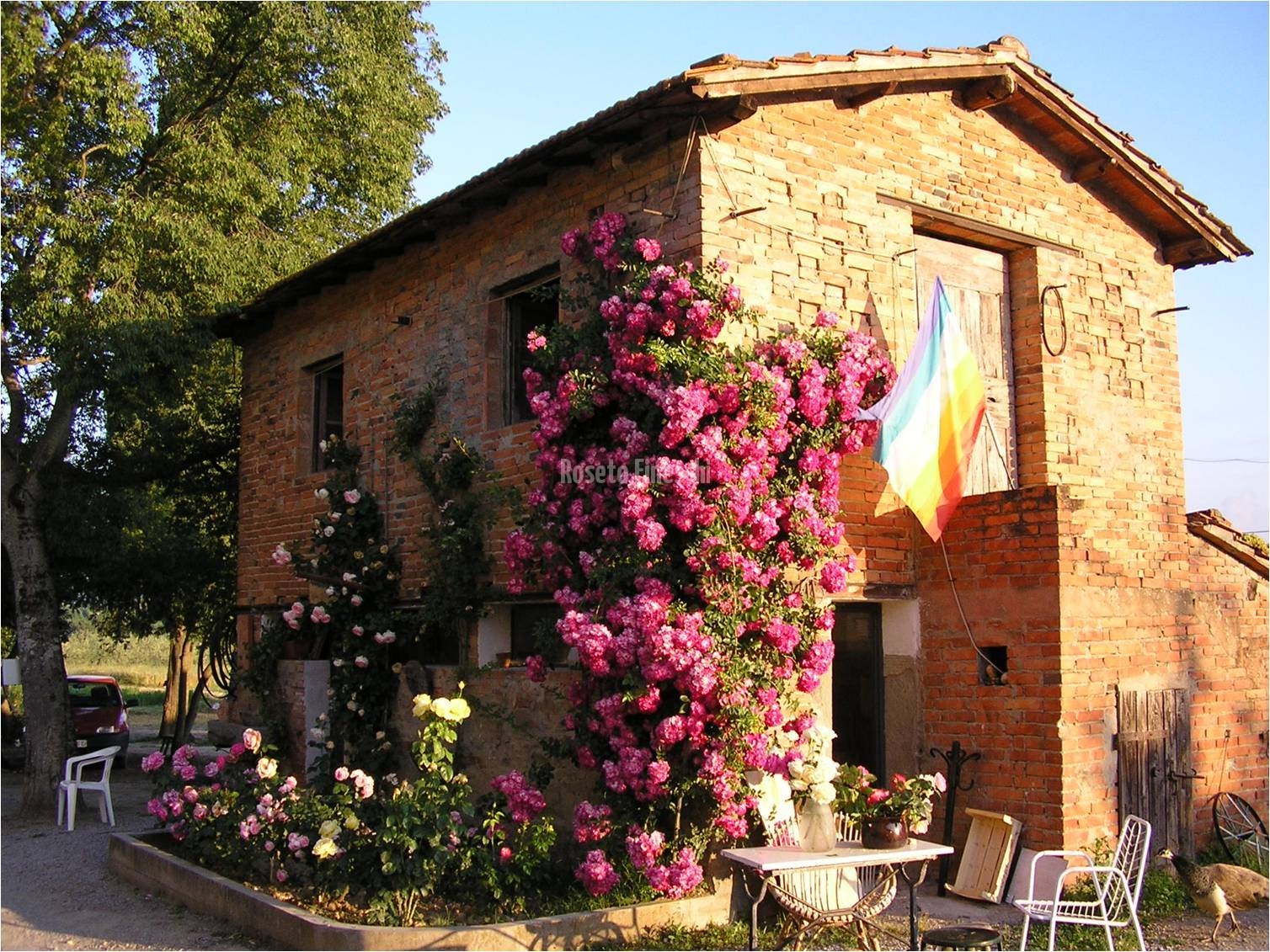 Roseto Fineschi