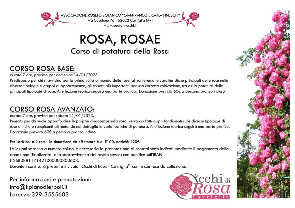 corso potatura rose roseto fineschi 2023